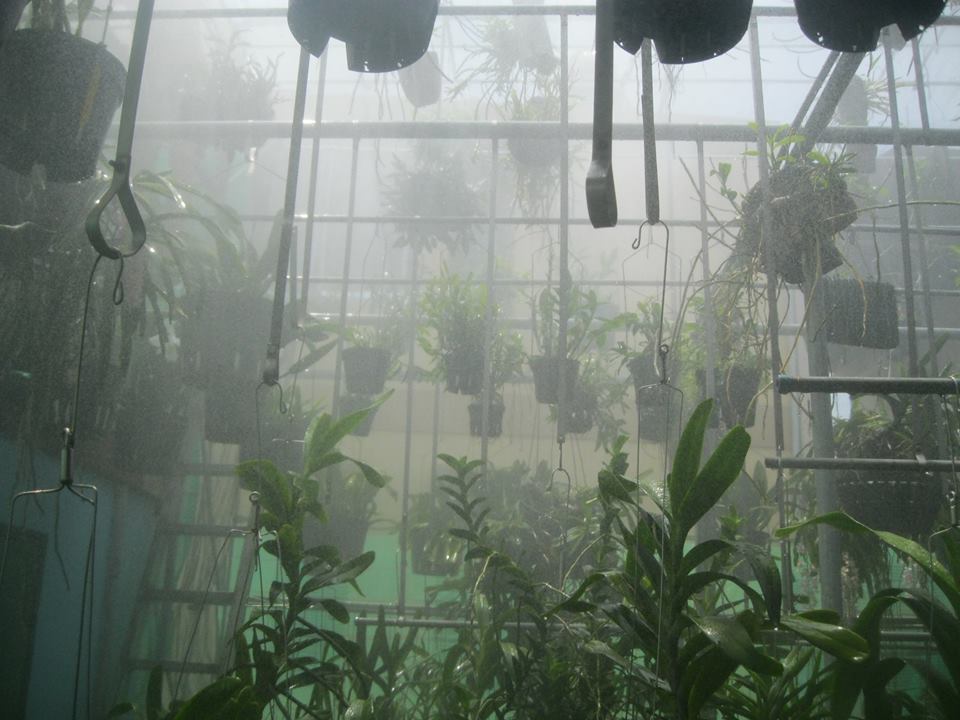 Máy phun sương giá rẻ tại Hà Nội